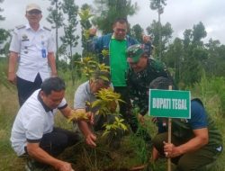 Ratusan Pohon Ditanam di Hutan Lindung Dukuh Sawangan