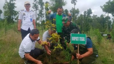 Ratusan Pohon Ditanam di Hutan Lindung Dukuh Sawangan