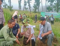 Perhutani Bersama Stakeholder Gelar Penyulaman Tanaman di Hutan Lindung Lereng Barat Gunung Slamet