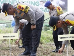 Polres Tegal Luncurkan Gugus Tugas Polri dan Tanam Jagung