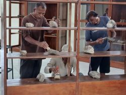 Dinbudpar Mulai Tata Museum Purbakala Galuhtimur