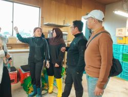 UPS Perluas Program Magang di Jepang