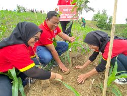 Pemkab Tegal Gandeng Alfamart Gelar Aksi Tanam Pohon dan Luncurkan Taman Kehati Cacaban