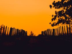 Mitos Keluar Saat Magrib, Digondol Kalong Wewe