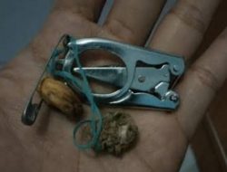 Mitos Ibu Hamil Wajib Membawa Gunting, Perlindungan Dari Gangguan Makhluk Halus