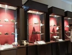 Museum Purbakala Bumiayu Tampil dengan Wajah Baru, Lebih Menarik dan Edukatif