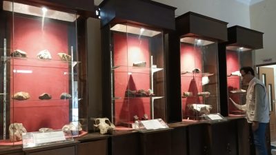 Museum Purbakala Bumiayu Tampil dengan Wajah Baru, Lebih Menarik dan Edukatif
