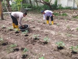 Polres Tegal Dukung Swasembada Pangan