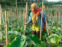 Menanam Harapan untuk Masa Depan