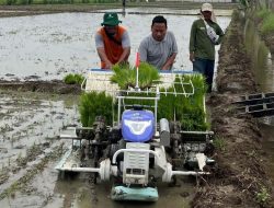Dangkal, DPRD Kabupaten Tegal Dorong Normalisasi Saluran Irigasi DI Rambut