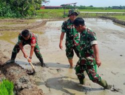 Dandim Pemalang Siapkan Lahan Penanaman Bibit Padi Sinar Mentari