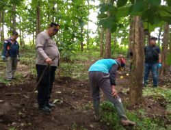 Ditemukan Tengkorak Kepala Manusia di Hutan Balapulang