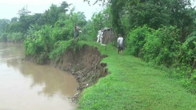 Ngeri, Begini Kondisi Tanggul Sungai Pemali Kritis di Beberapa Titik