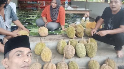 Berburu Durian Kopi di Jatinegara, Hanya Rp 25 Ribu