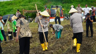 Tingkatkan Ketahanan Pangan, Polres Tegal Gelar Penanaman Jagung di Desa Karangjati