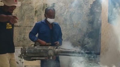 Ini Dampaknya Jika Sembarangan Melakukan Fogging