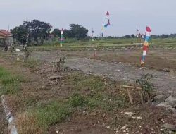 Parah, Lahan Pertanian Diduga Alih Fungsi Jadi Tanah Kavling