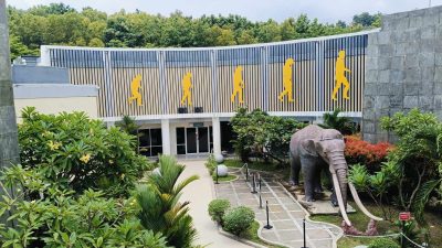 Museum Semedo Menyimpan Keanekaragaman Fauna Purba