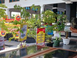 Karangan Bunga dengan Tumbuhan Hidup Mulai Ngtrend