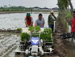 Ini Penyebab Pupuk Bersubsidi di Kabupaten Tegal Langka