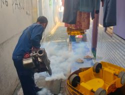 Lima Warga di Kota Tegal Terjangkit Deman Berdarah, Dinkes Lakukan Ini