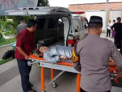 Korban Tewas Tertimpa Pohon Roboh Bertambah Satu, Berikut Daftar Korbannya