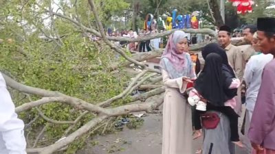 Pohon Beringin di Alun-alun Pemalang Roboh Timpa 13 Jemaah Salat Ied, 1 Tewas