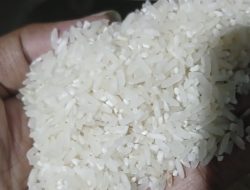 Lahan Pertanian Banjir, Picu Kenaikan Harga Beras