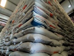 Bulog Cabang Tegal Lampaui Target Serapan Gabah Kering Panen