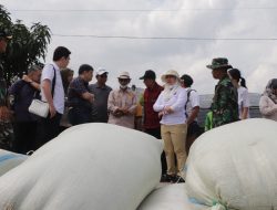 Bawa Investor ke Brebes, Wakil Ketua Komisi IV DPR RI Cek Lahan Bawang Merah