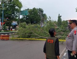 Area Alun – alun Pemalang sebagian Belum bisa Akses Masyarakat