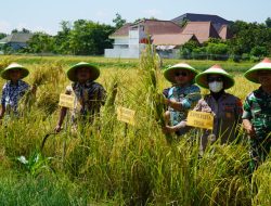 Alih Fungsi Lahan Pertanian Diperketat