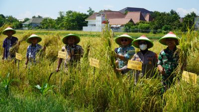 Alih Fungsi Lahan Pertanian Diperketat