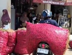 Harga Cabai di Brebes Anjlok Rp 14.000/ Kg