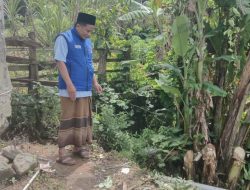 Dibiarkan Bertahun-Tahun, Bangunan SDN Kedungwungu 02 Nyaris Ambruk