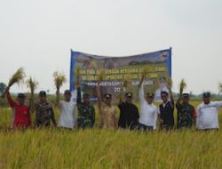 Panen Raya, Petani Diimbau Jual Gabah ke Bulog