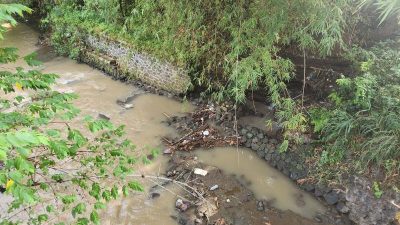 Tebing Talang Irigasi di Mulyoharjo Tegal Ambrol, 150 Ha Lahan Pertanian di 5 Desa Terancam Tak Bisa Tanam