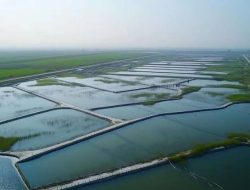 Aktivis Pemerhati Ketahanan Pangan Brebes Protes Sektor Perikanan Kurang Diperhatikan