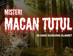 Misteri Penampakan Macan Tutul di Kaki Gunung Slamet