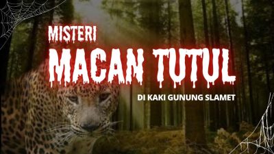 Misteri Penampakan Macan Tutul di Kaki Gunung Slamet