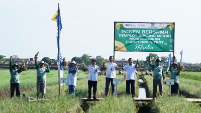 Petani Bawang di Brebes Panen Raya Hasil Demplot Pupuk Kujang