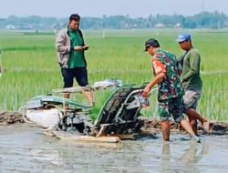 Anggota TNI Turun Langsung di Sekolah Lapang Padi