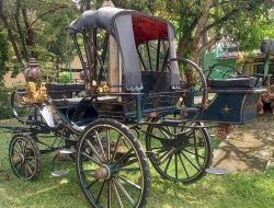 Tiga Kereta Kencana Siap Bawa Bupati, Wakil Bupati dan Sekda Kabupaten Tegal