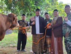Idul Adha, Wabup Ajak Masyarakat Pantang Menyerah Hadapi Tantangan Dunia