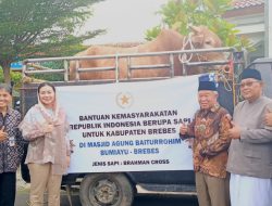 Bupati Brebes Serahkan Sapi Kurban Bantuan Presiden Prabowo untuk Warga Bumiayu