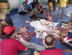Warga Griya Pangkah Indah Kurban 4 Sapi dan 22 Kambing
