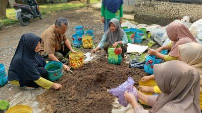 IIKP Cabang Pekalongan Barat Galakkan Budidaya Toga dan Sayuran