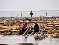 Dua Dekade Tinggal di Tengah Banjir Rob, Warga Gantungkan Harapan pada Tanggul Laut