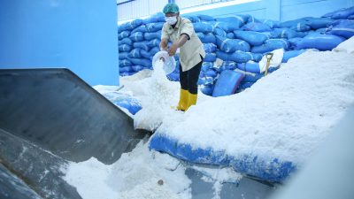 BUMD Pemprov Jateng Beli 30 Ribu Ton Garam Petambak Demi Swasembada