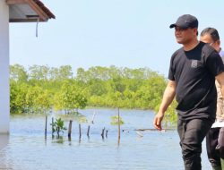 Pemprov Jateng Mulai Program Mageri Segoro untuk Pemulihan Ekosistem Pesisir